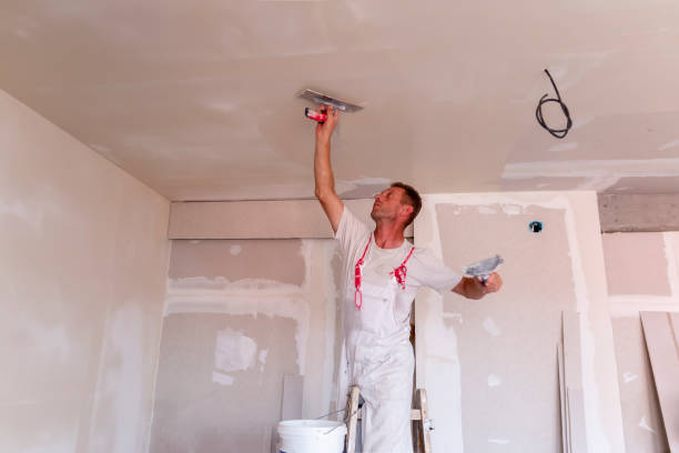 Best Interior Painting  in Iola, WI